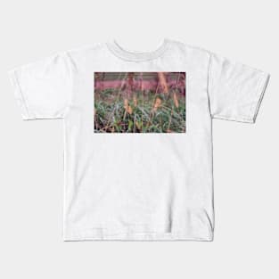 Autumn Prairie Grass Kids T-Shirt